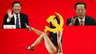二奶治国，小三理政，习皇宠臣何立峰｜老嫖客执政团队｜中国经济入阴沟