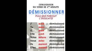 d&eacute;missionner au plus que parfait #fran&ccedil;ais #shorts #verbe #conjugaison #d&eacute;missionner #plusqueparfait