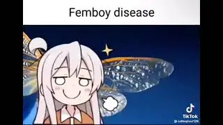 femboy disease