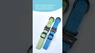 Recycled Cotton Dog Collar 💚💙 #calidog