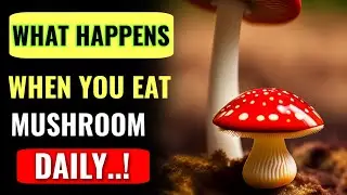WHAT HAPPENS WHEN YOU EAT MUSHROOM DAILY !