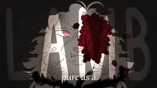 Pure as a lamb || Animatic