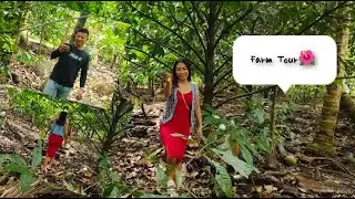 Farm Tour | Mangosteen | Lansones