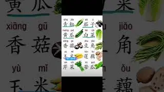 Basic Chinese Vocabulary with Pictures 🧠 | Learn Fast for Beginners