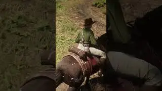 Horses Adventures