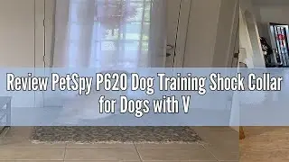Review PetSpy P620 Dog Training Shock Collar for Dogs with Vibration, Electric Shock, Beep; Recharge