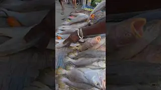 OneFishBoss Taking Over the Market | Fresh Fish, Real Support, Big Crowd