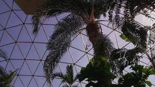 Greater Des Moines Botanical Garden  & the Blank Park Zoo - Des Moines, Iowa ~ July