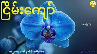 ငြိမ်းကျော်၊အပြာရောင်သစ်ခွပွင့်ရဲ့ သမိုင်းအစ(အပိုင်း-၆)