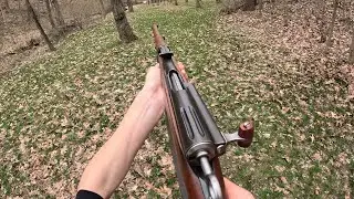 Schmidt-Rubin M1896/11 First Person POV