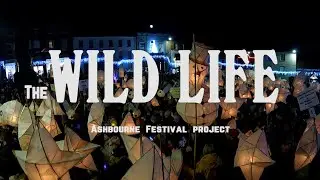 ‘Wild life’_Ashbourne_Festival_2023