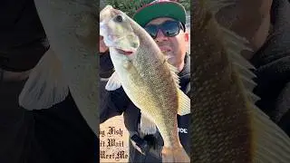 Big Spotted Bass Hammered My Worm #anyfishcangetit #spottedbass