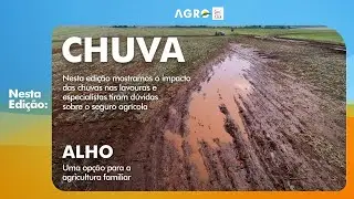 Programa Agro FAG: Impactos da chuva causam prejuízos às lavouras
