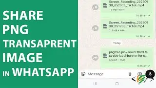 Как отправить PNG-изображение с прозрачным фоном в WhatsApp