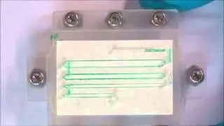 Sample re-collection from a sample preservation device