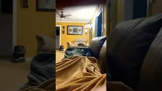 PERFECT LOOP Rate the Loop👇