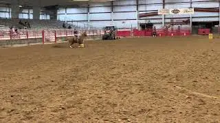 Dash Ta Fame Bardell Barrel Blast Torrington, WY