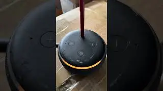 Как сбросить настройки Echo Dot 3-го поколения