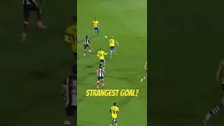 Strangest Own Goal #football #eflleagueone #efl