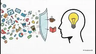 Consumer Behaviour: Marketing Strategies and Case Studies