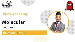 Mu`tah | Molecular | L1- DNA and RNA I