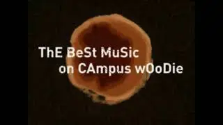 2007 mtvU Woodie Awards &ndash; Categories
