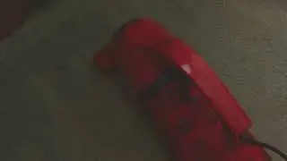 Dirtdevil handvacs