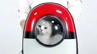 Puboa cat backpack