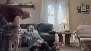 Dog Diaper Fail