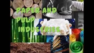 Chemical Engineering & paper industry