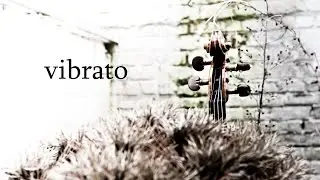 A violin Perspective - Vibrato