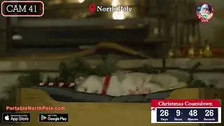 Security Cam from the North Pole 🌟
