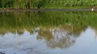 bhiwandi fishing