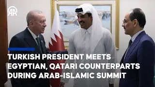 Turkish president meets with Egyptian and Qatari counterparts in Qatar