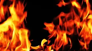 lieforge Live Stream