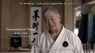 ENTREVISTA HIGAONNA SENSEI IOGKF sub español