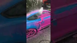 Is Pink on Blue the Ultimate Combination for Satisfaction?