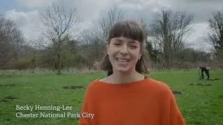 The Wild Network - bringing wildlife back together!