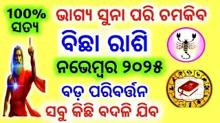 Bichha Rashi November 2025 odia | ବିଛା ରାଶି | bichha rashi November 2025 | Vrishchik Rashi 2025