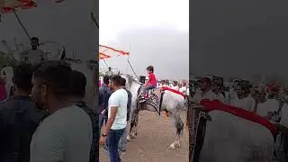 H P HORSES RACEING 🐴🐎🐎🐎🐎🐎 SARTHAN ANKLESHWAR