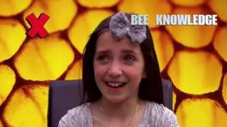 Little BEES friendship quiz