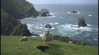 A Sense of Pride or I don't have another Land...