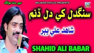 Sangdil Khe Dil Dinam | Shahid Ali Babar | Shahid Babar 2025 | Sindhi Song 2025 | Shahid Babar Songs