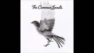 The Common Linnits - Calm After The Storm - The Album