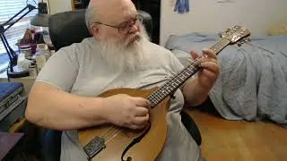 New 2024 Design Octave Mandolin