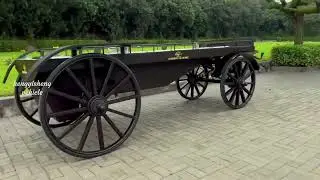 hand pulled hearse for funeral ceremony, this **hearse carriage** blends legacy and grace. 