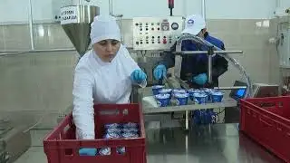 Рабочая поездка  Эмомали Рахмона в район Джайхун началась с открытия предприятия «Шири Джайхун»