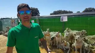 II feria de la caza de VENTA DEL CHARCO