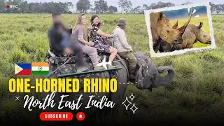 Filipino in Northeast India l Kaziranga National Park, One-horned Rhinos & Road Trips