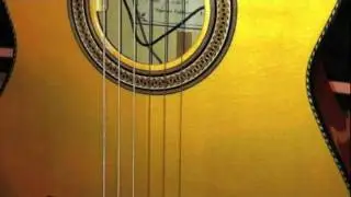 LR Baggs Anthem SL Classical Pickup Review